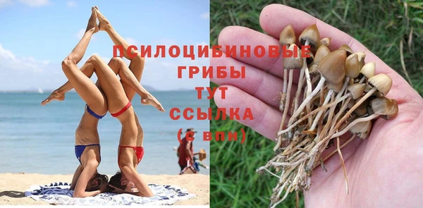 крисы Нязепетровск