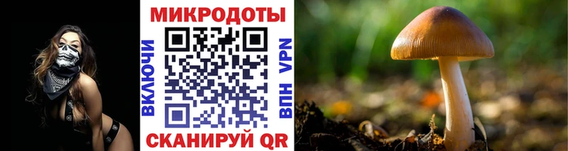 Галлюциногенные грибы Magic Shrooms  Купить закладки  Дубовка 